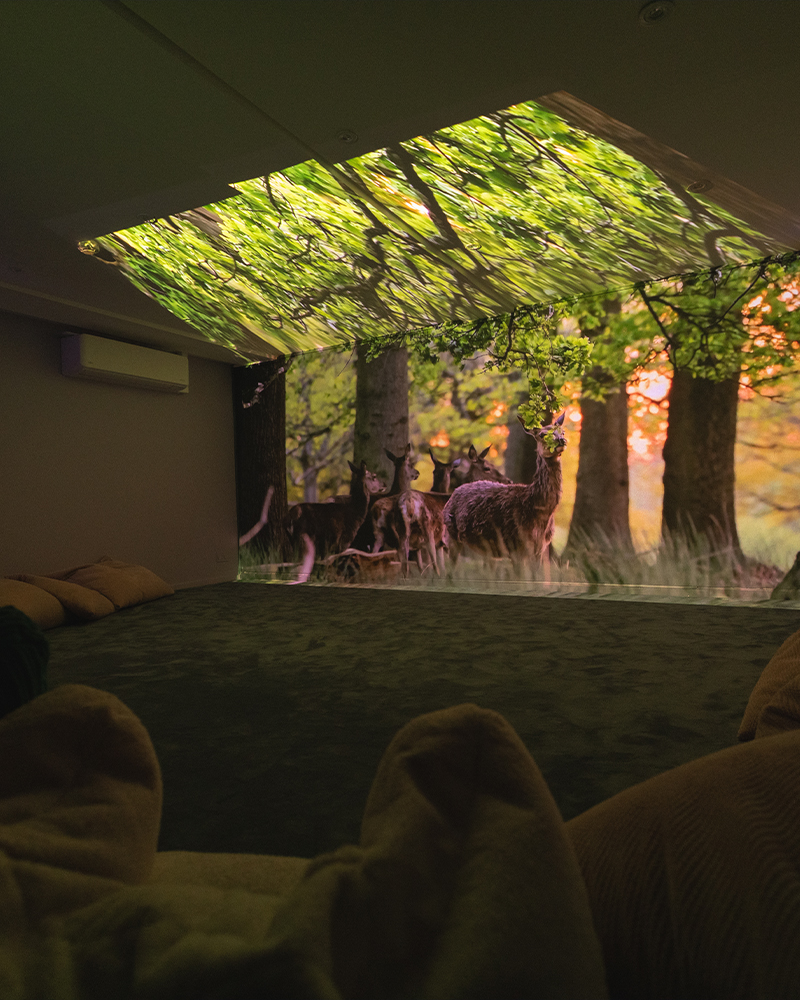 Sensory-Room-Quiet-Den_0002_4
